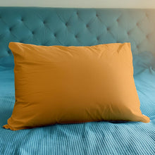 Pillow Covers, Couch Pillows Cover, Soft Pillow Covers (70 × 50 CM / 1 Pc)