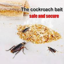 Box of cockroach traps