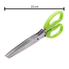 Scissors for vegetables and herbs, stainless steel with 5 blades